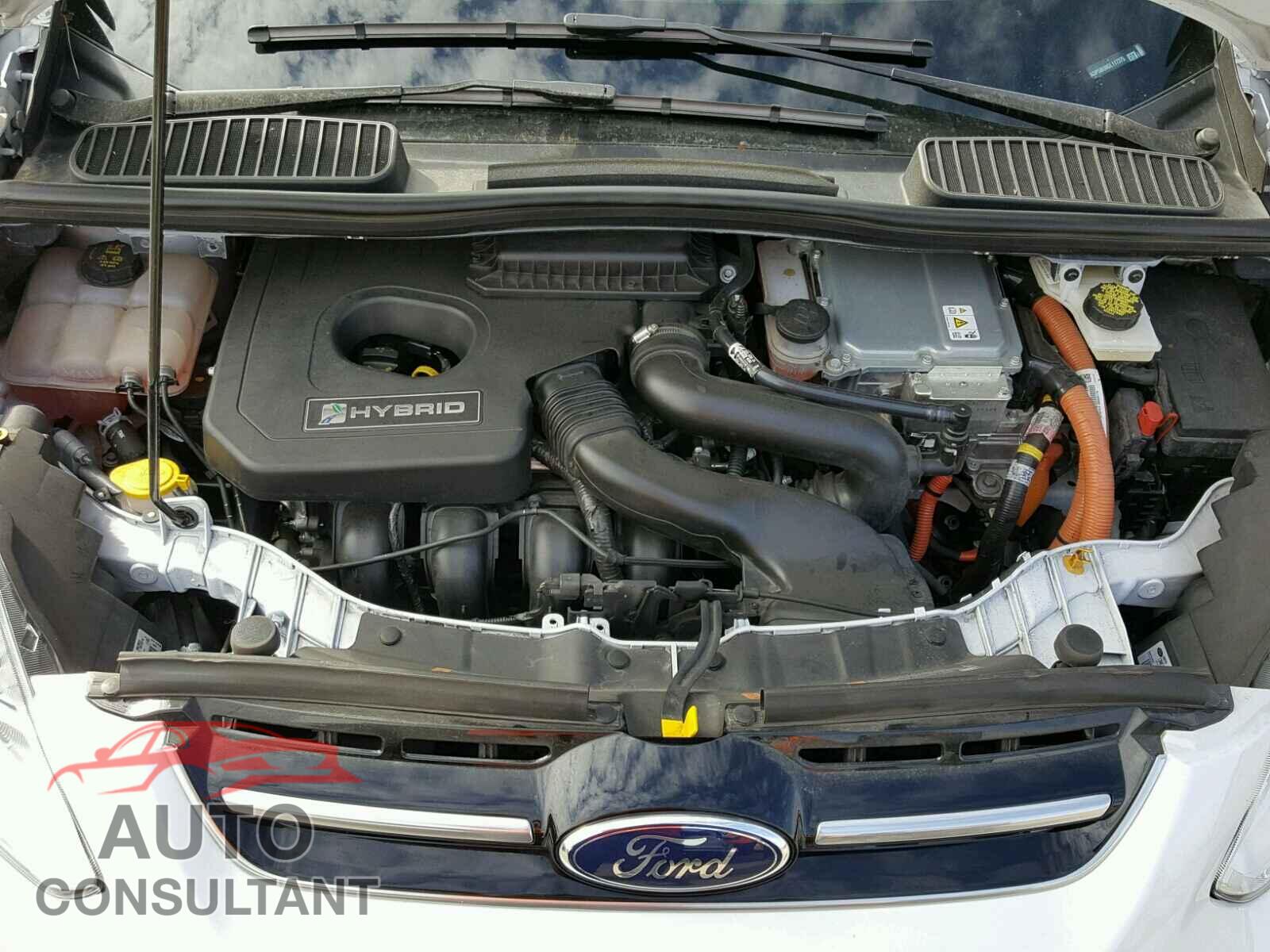 FORD CMAX 2016 - 1FADP5BU0GL117375