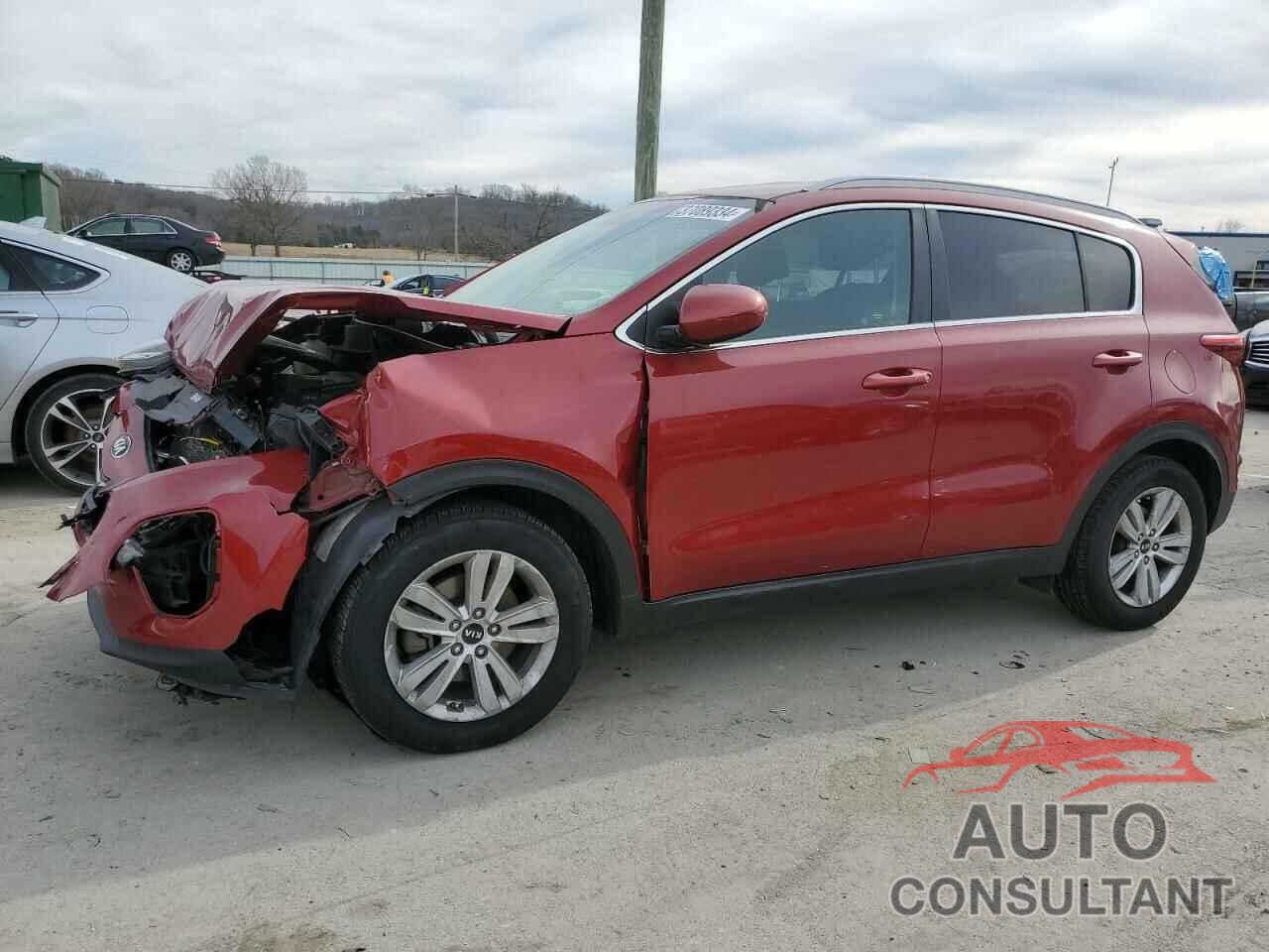 KIA SPORTAGE 2017 - KNDPM3AC9H7244648