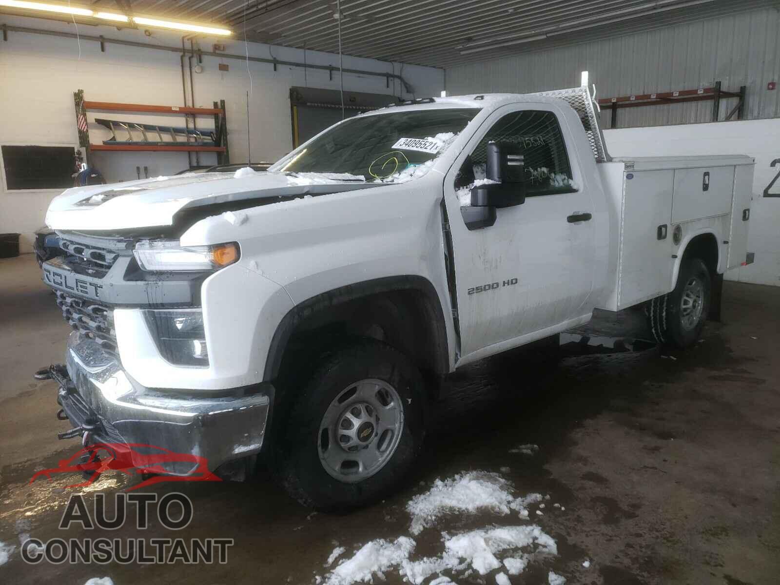 CHEVROLET SILVERADO 2020 - 1GB3YLE76LF330888
