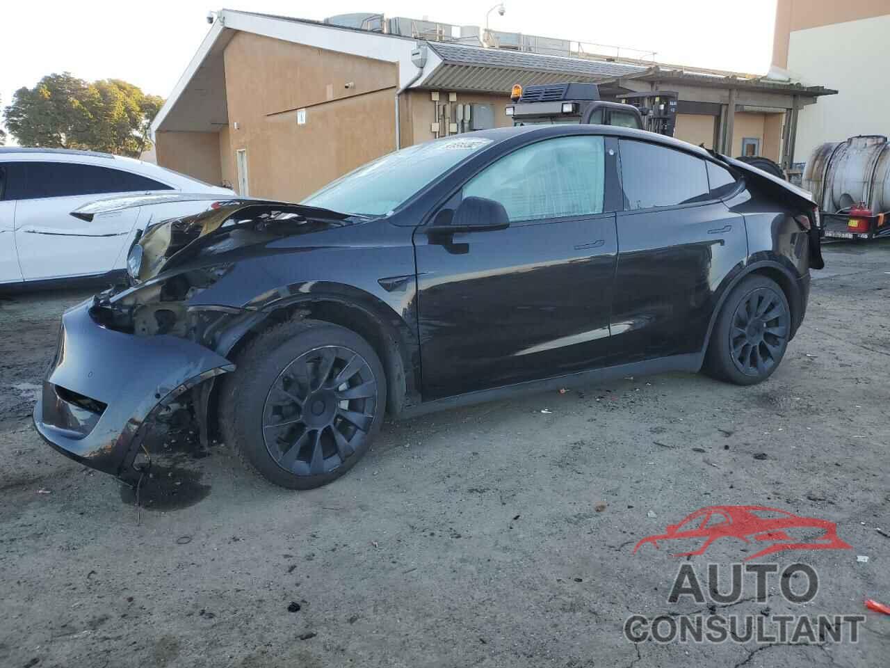 TESLA MODEL Y 2022 - 7SAYGDEEXNF481543