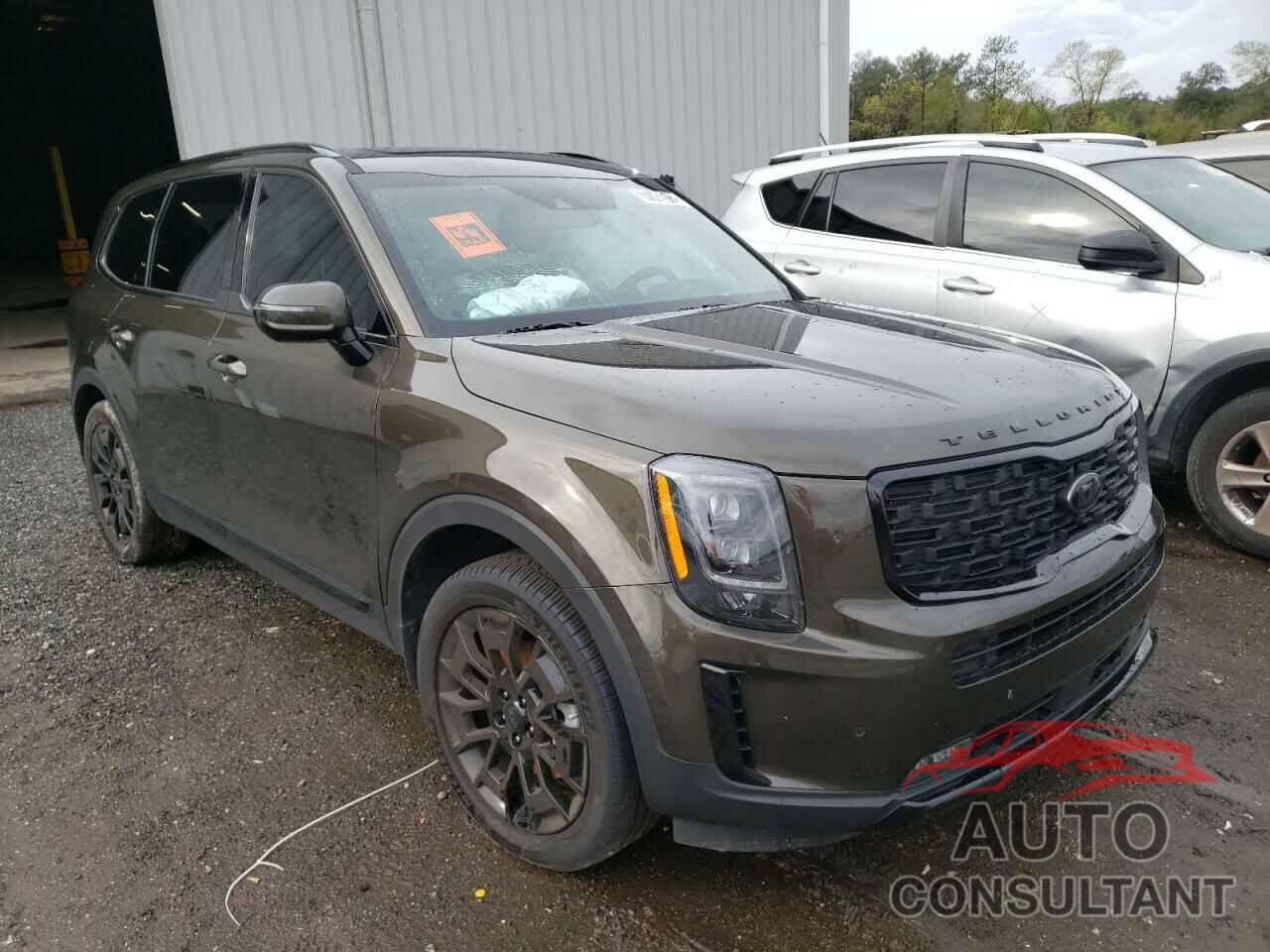 KIA TELLURIDE 2021 - 5XYP5DHC1MG145893