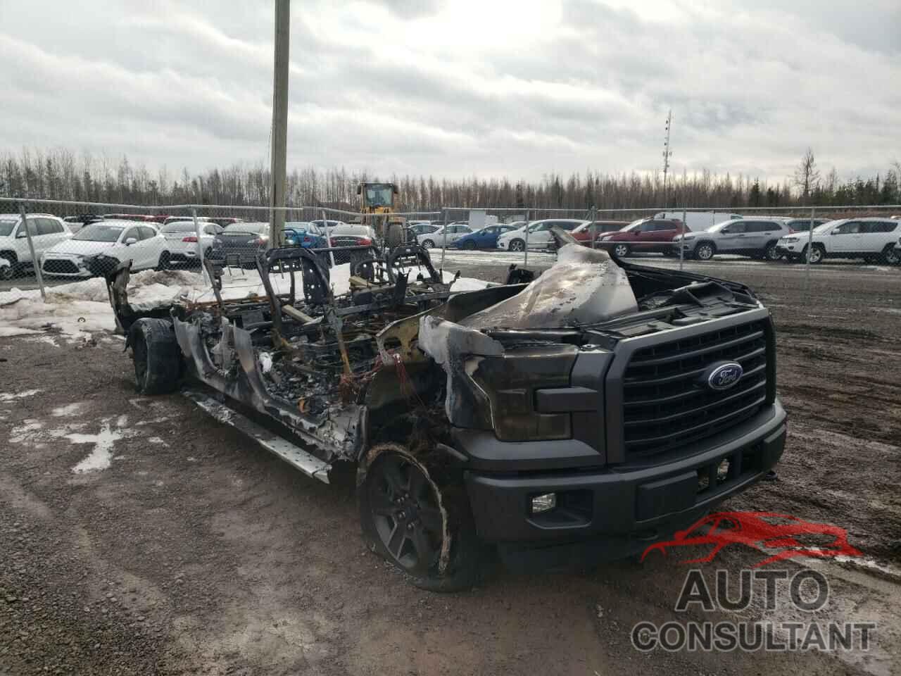 FORD F-150 2016 - 1FTFW1EFXGFC62935