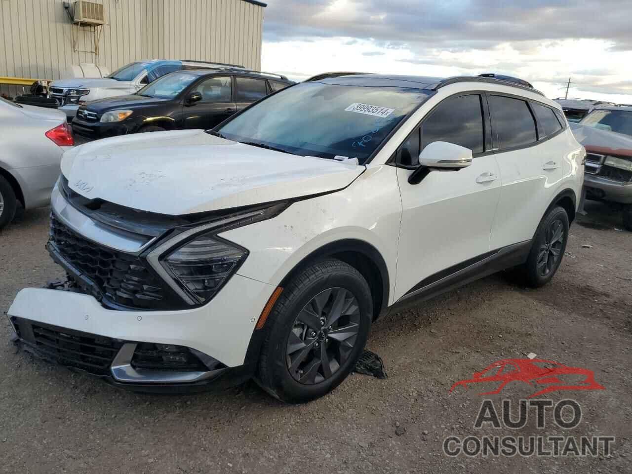KIA SPORTAGE 2023 - KNDPXCAG2P7021988