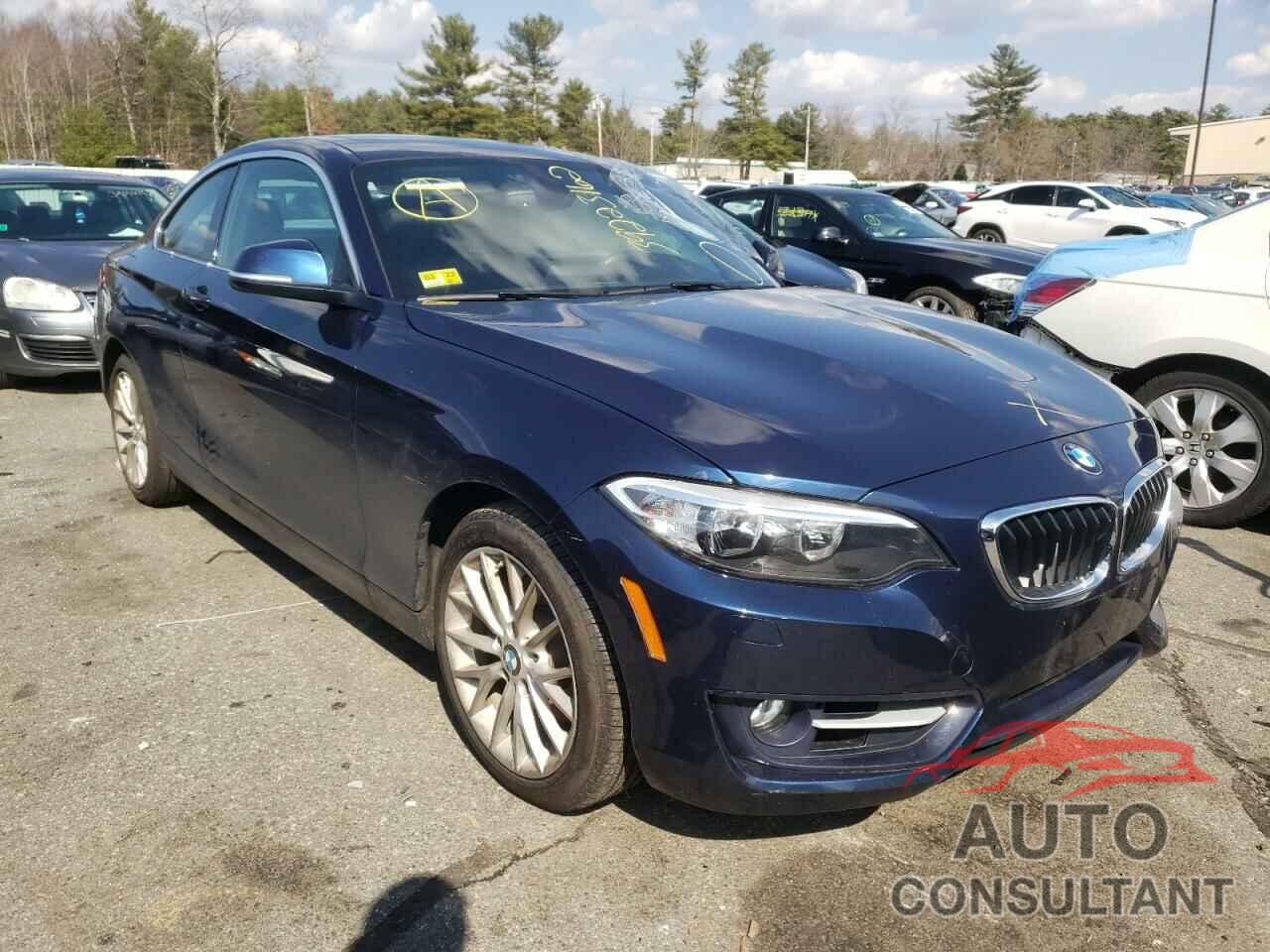 BMW 2 SERIES 2016 - WBA1G9C51GV598363