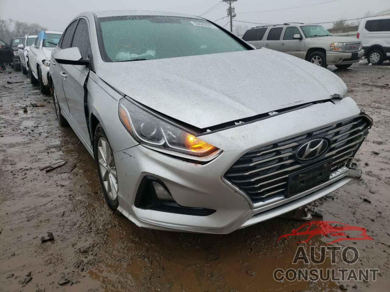HYUNDAI SONATA 2019 - 5NPE24AF1KH798055