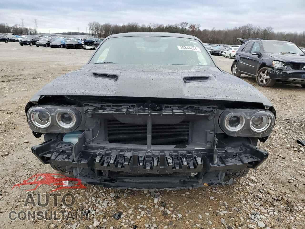 DODGE CHALLENGER 2019 - 2C3CDZAG8KH656287