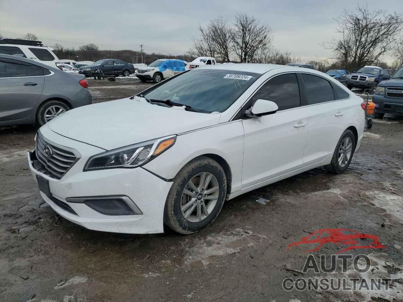 HYUNDAI SONATA 2016 - 5NPE24AF5GH287312