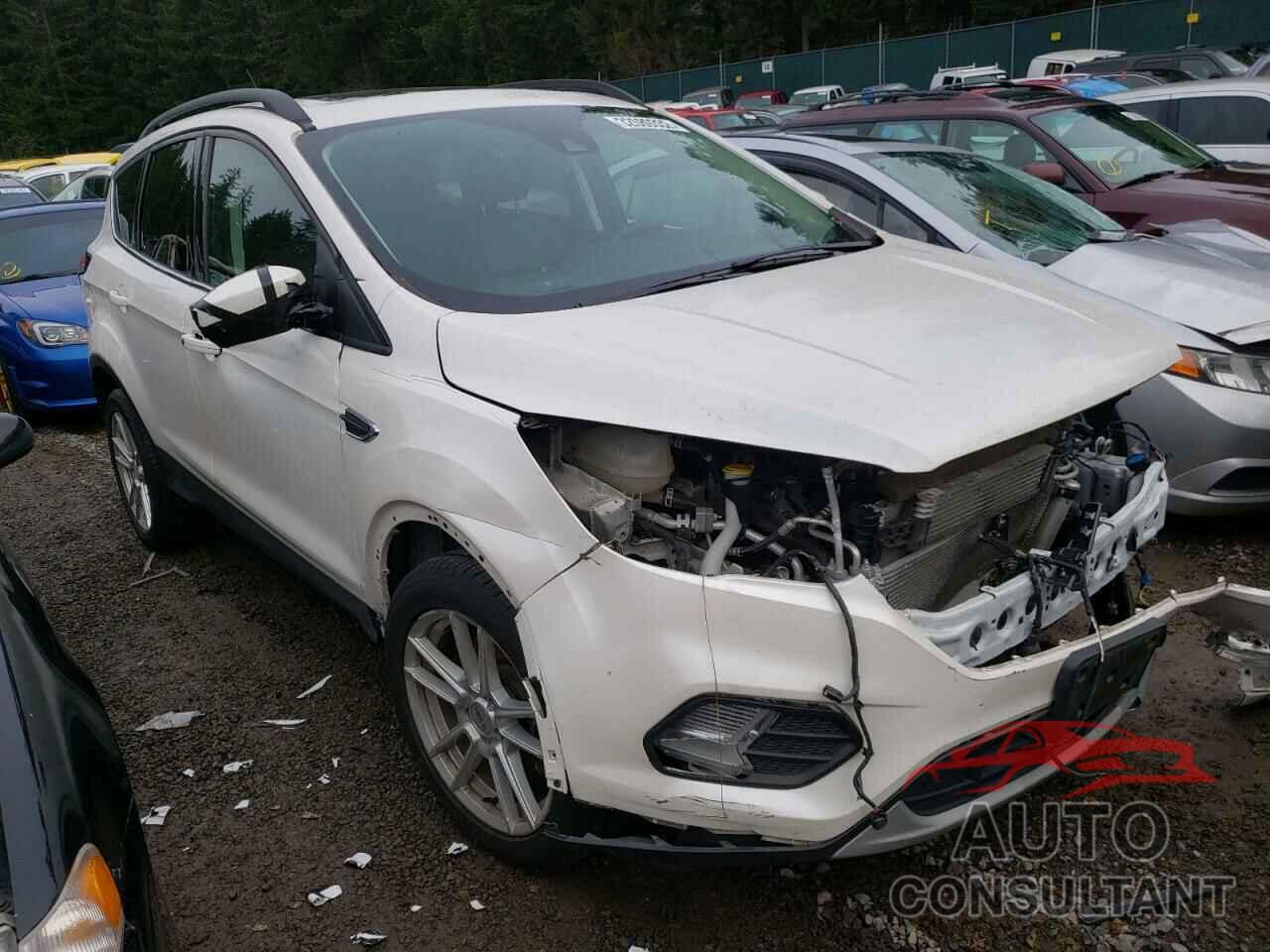 FORD ESCAPE 2019 - 1FMCU9HD7KUB06451