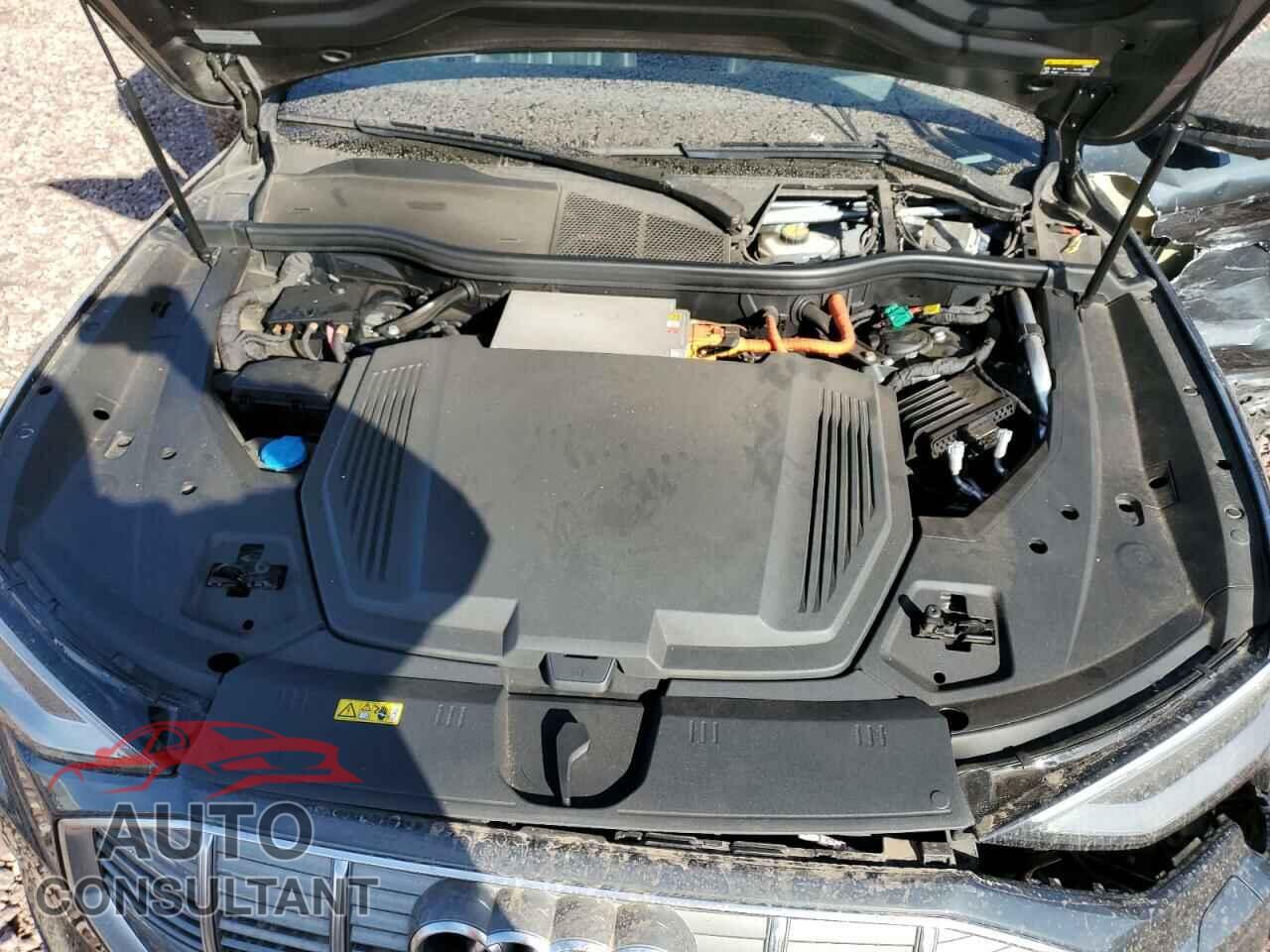 AUDI E-TRON 2019 - WA1VABGE3KB008644