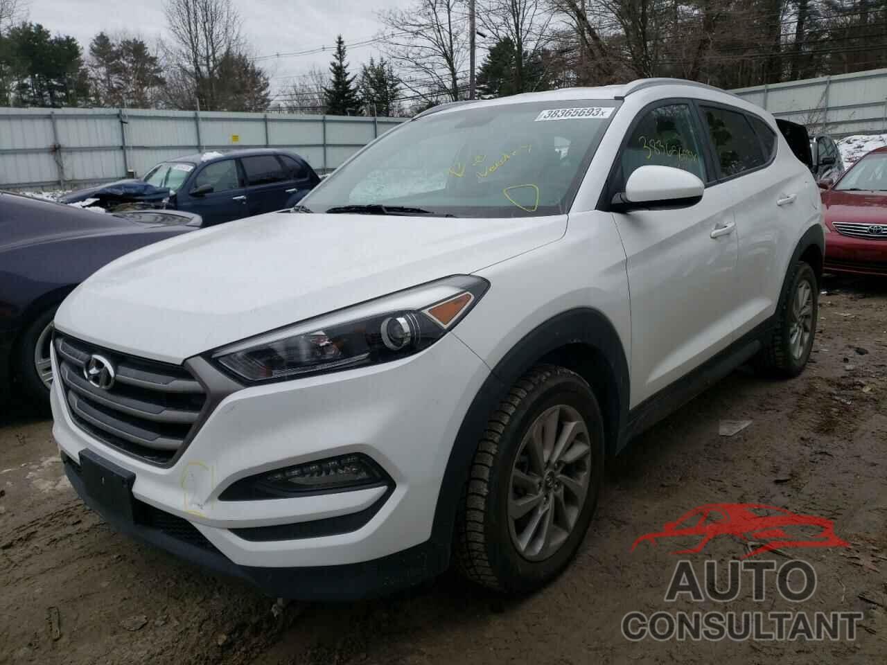 HYUNDAI TUCSON 2016 - KM8J33A40GU146041