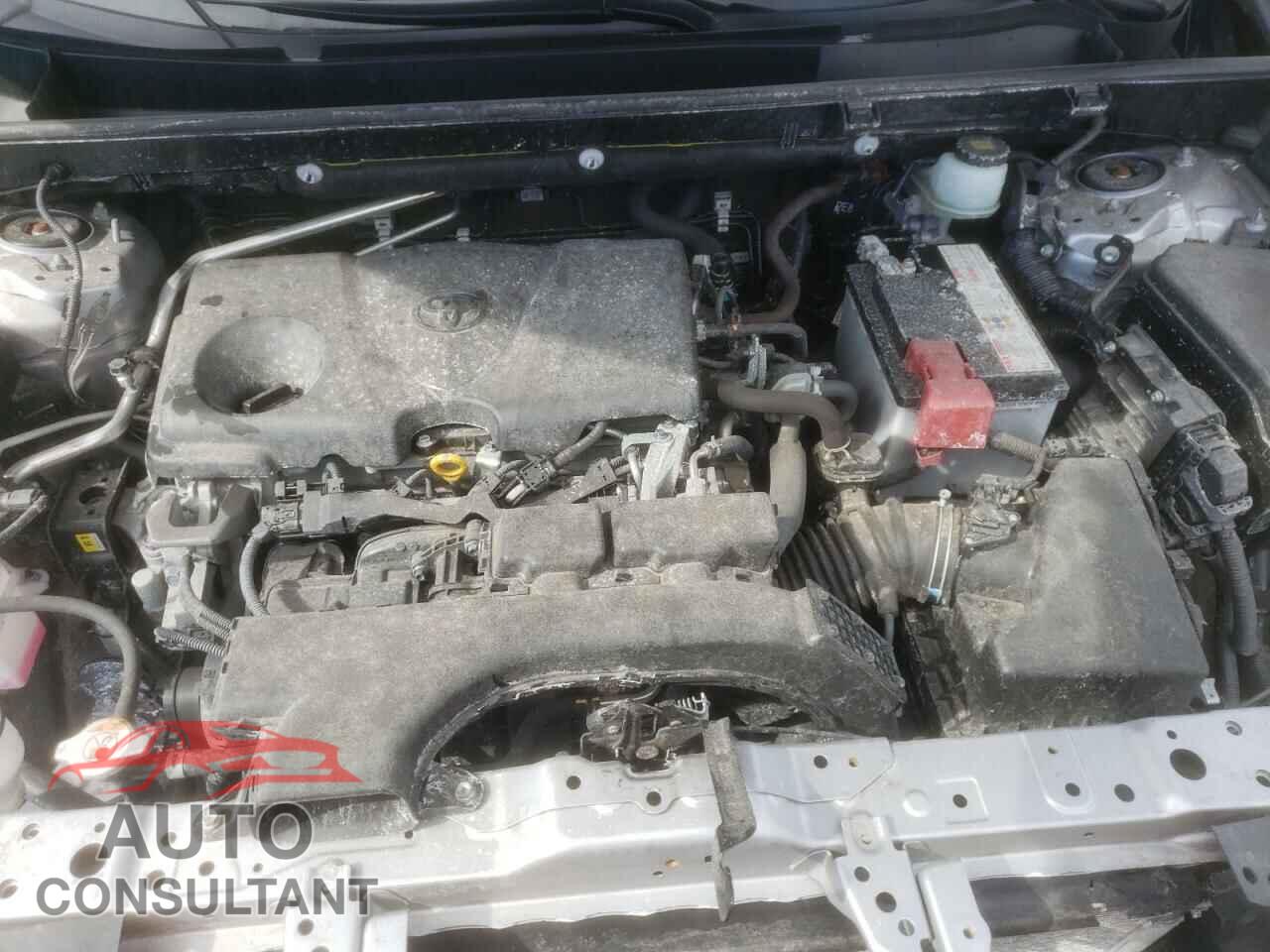 TOYOTA RAV4 2019 - JTMP1RFV6KD500081