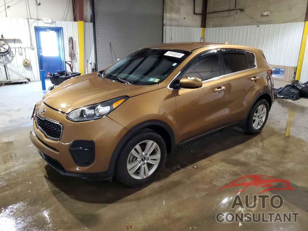 KIA SPORTAGE 2019 - KNDPM3AC9K7558811