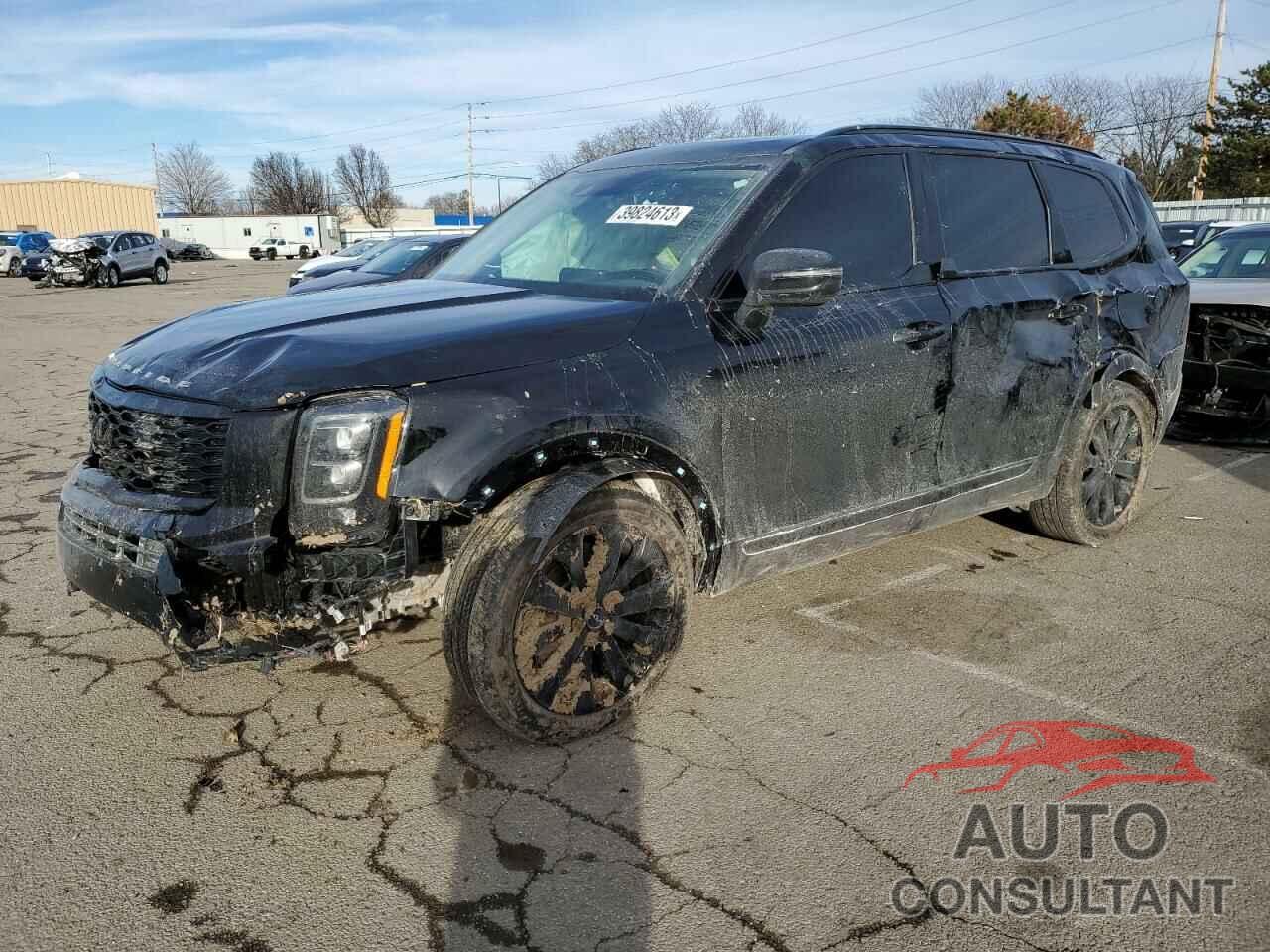 KIA TELLURIDE 2022 - 5XYP3DHC0NG211230