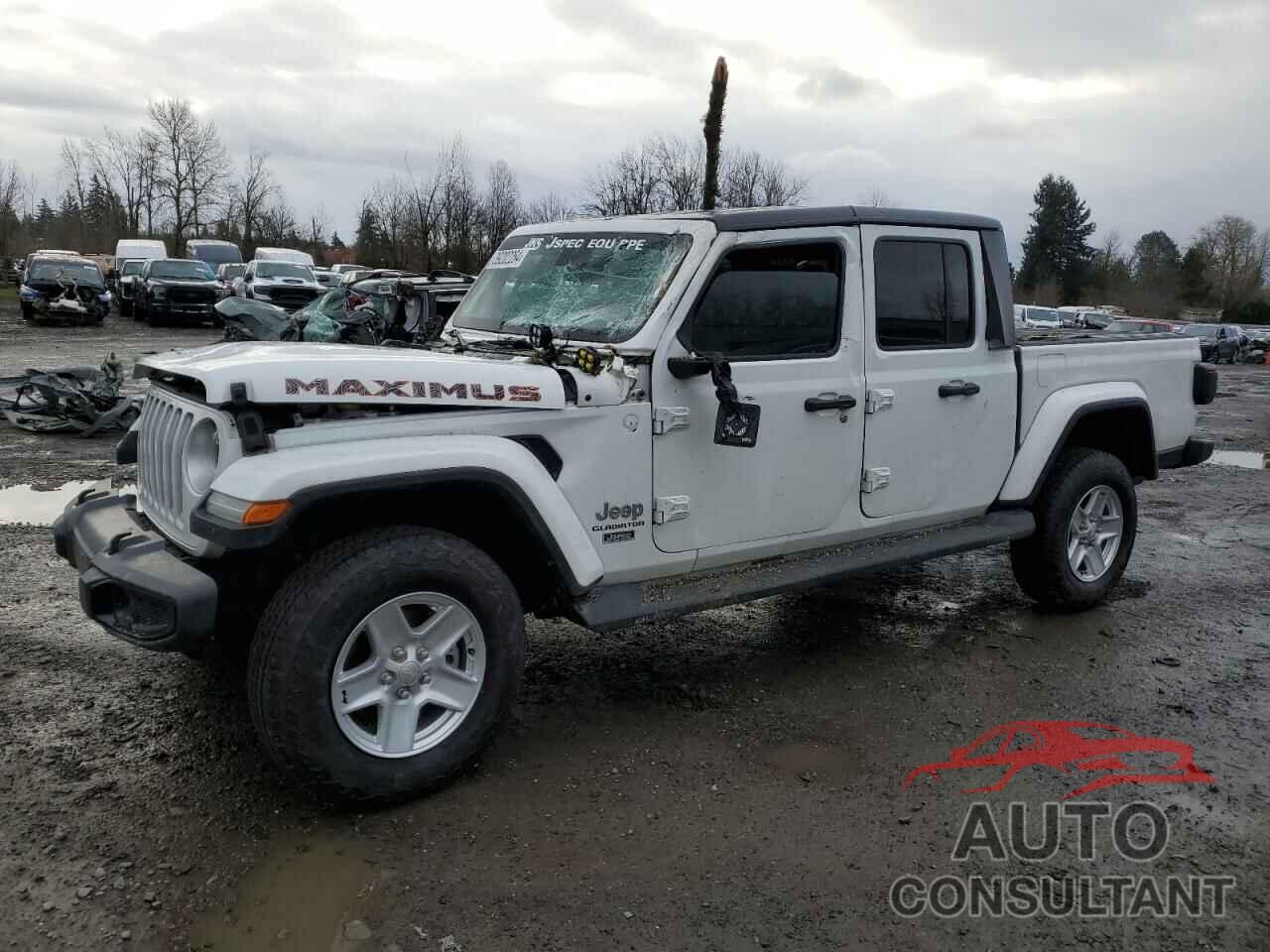 JEEP GLADIATOR 2020 - 1C6HJTFG9LL180868