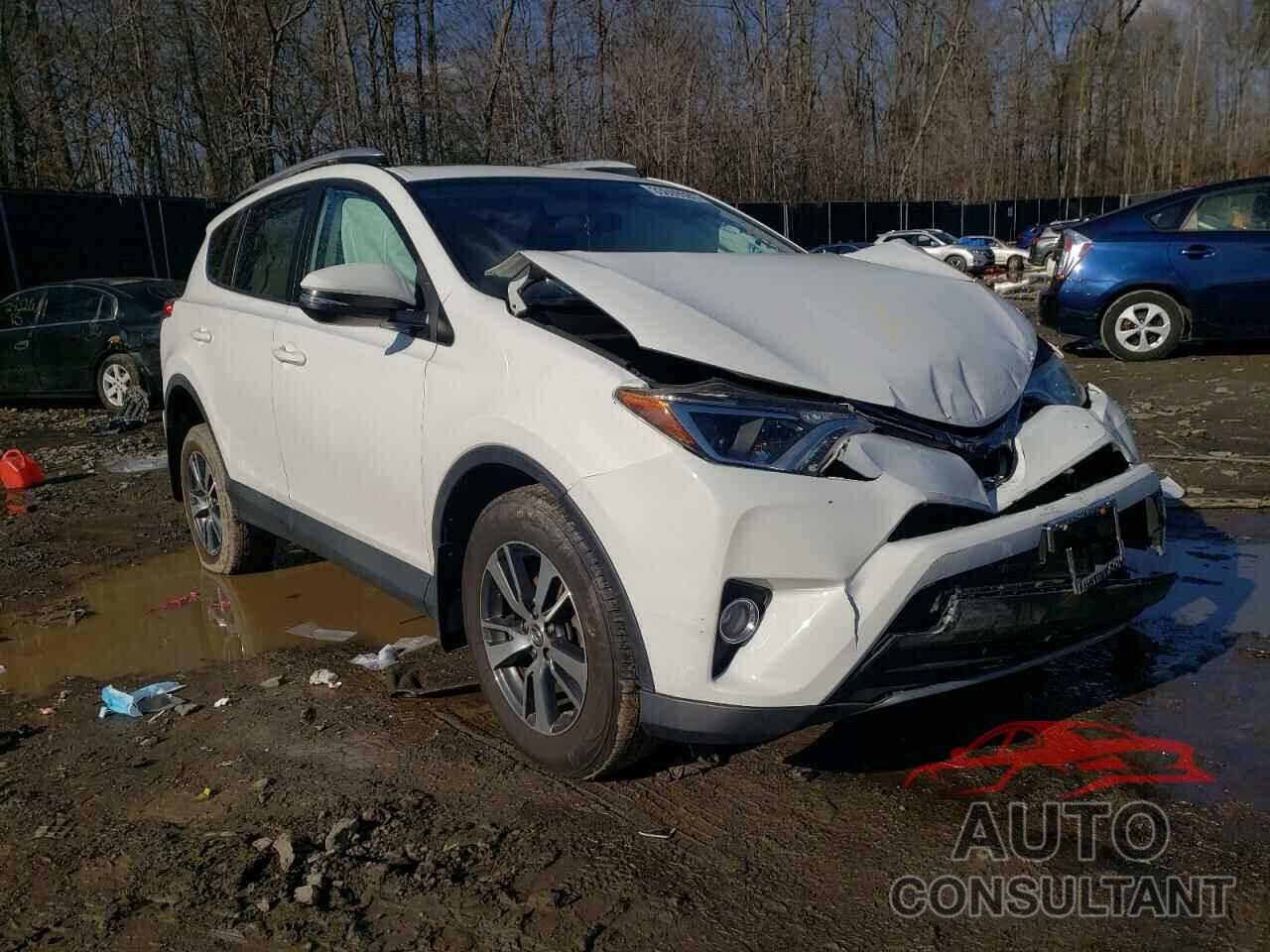 TOYOTA RAV4 2016 - 2T3RFREV2GW502464
