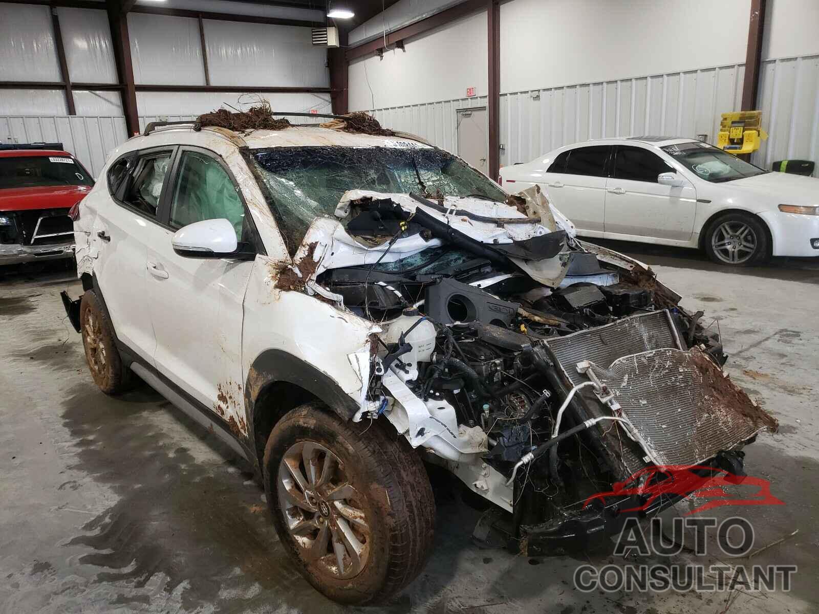 HYUNDAI TUCSON 2017 - KM8J33A49HU516114