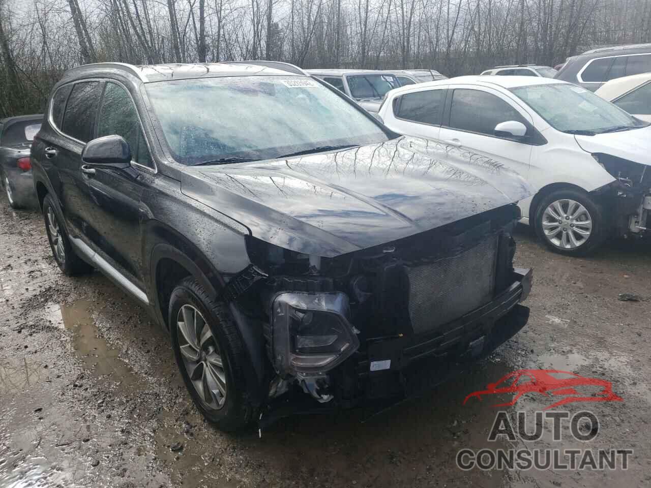 HYUNDAI SANTA FE 2020 - 5NMS3CAD2LH182503