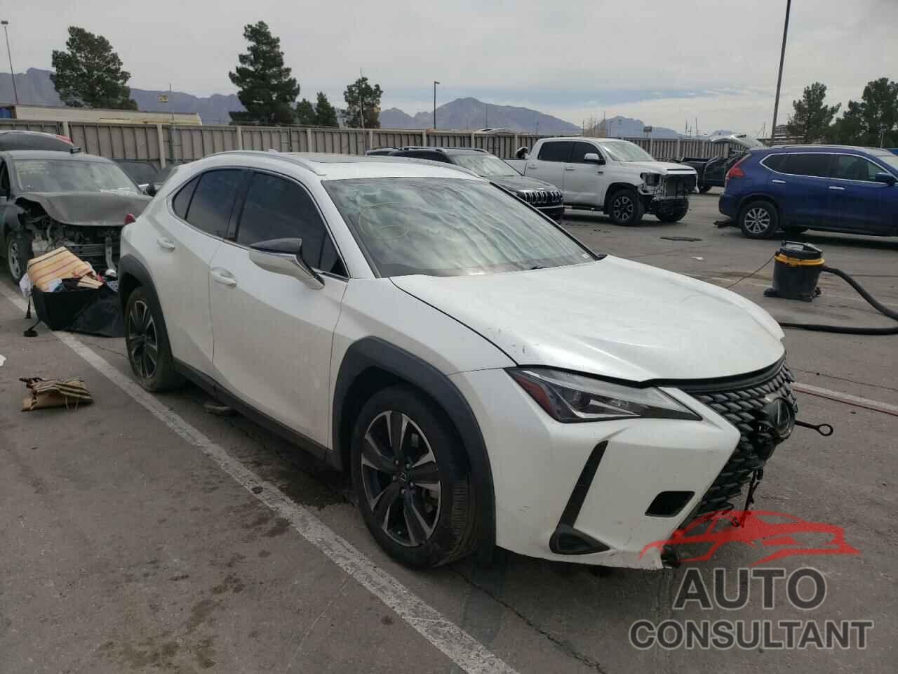 LEXUS UX 200 2019 - JTHY3JBH0K2013050