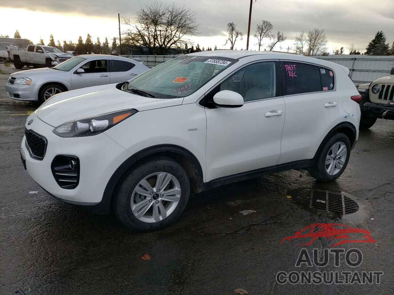 KIA SPORTAGE 2017 - KNDPMCAC5H7069542