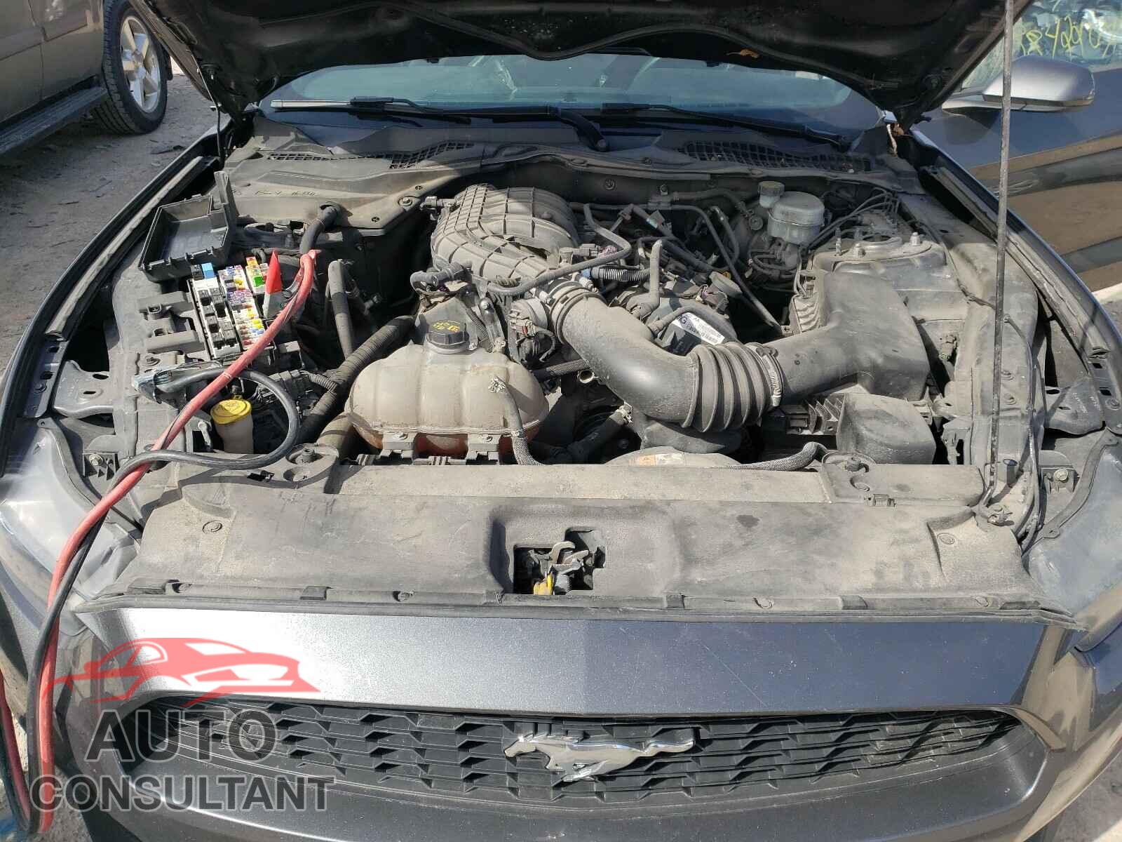 FORD MUSTANG 2016 - 1FA6P8AM8G5251891