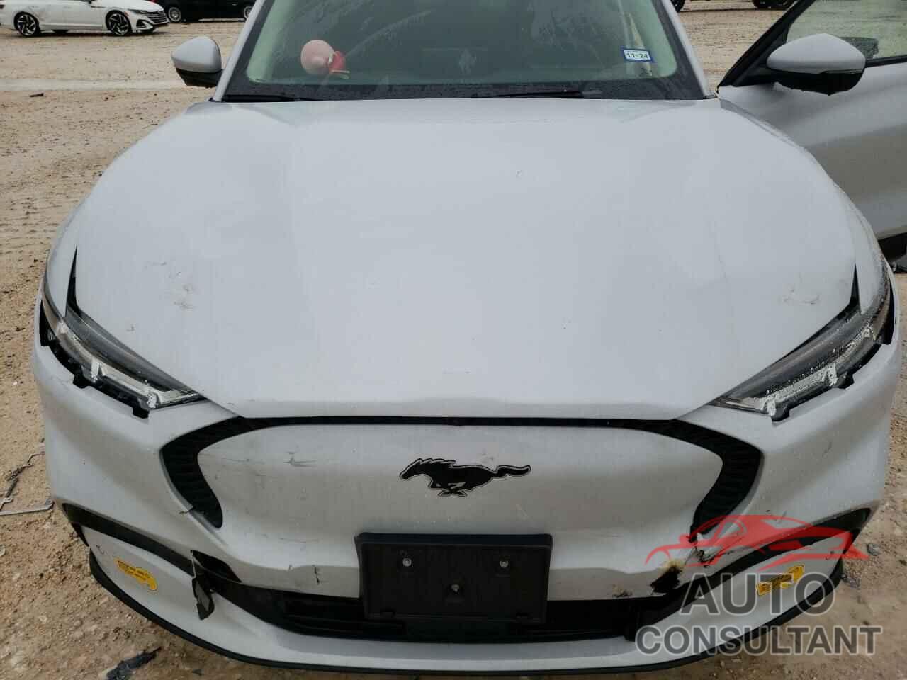FORD MUSTANG 2021 - 3FMTK1RM5MMA41581