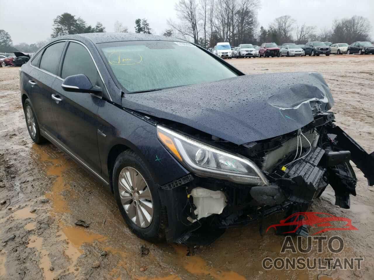 HYUNDAI SONATA 2017 - WDDHF5KBXGB250315