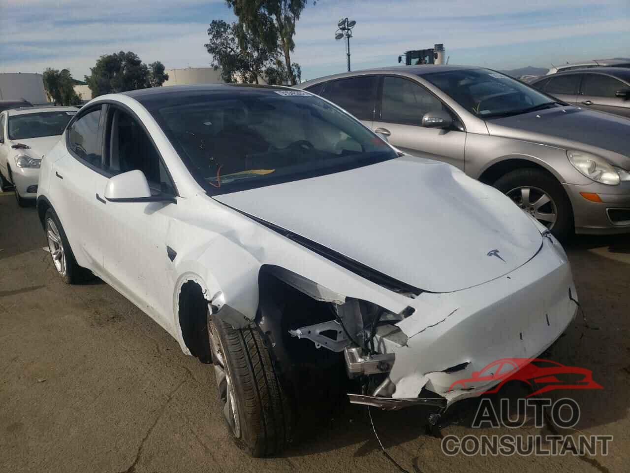 TESLA MODEL Y 2021 - 5YJYGDEEXMF090565
