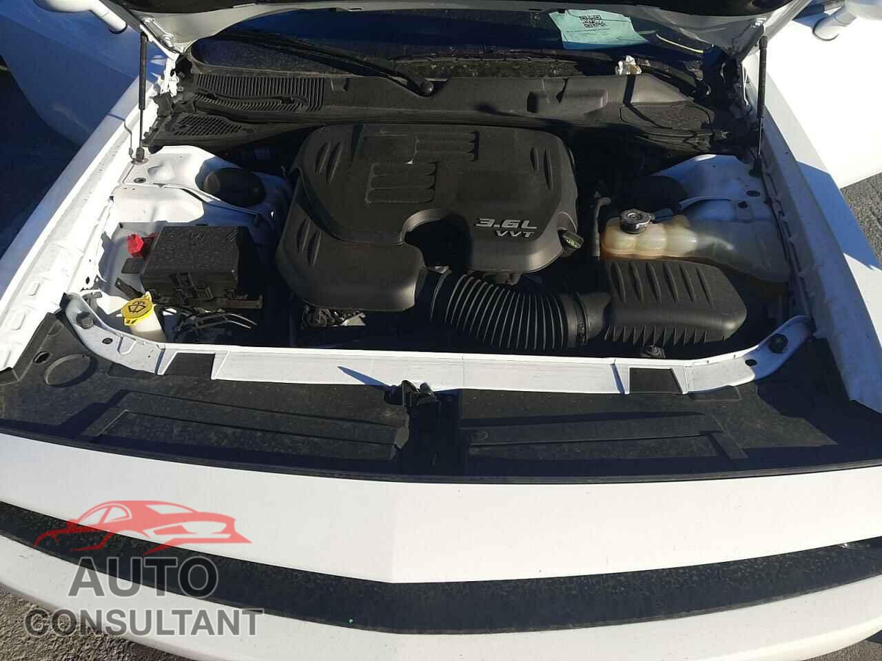 DODGE CHALLENGER 2019 - 2C3CDZAG3KH701586