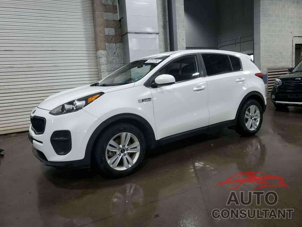 KIA SPORTAGE 2017 - KNDPM3AC0H7063745