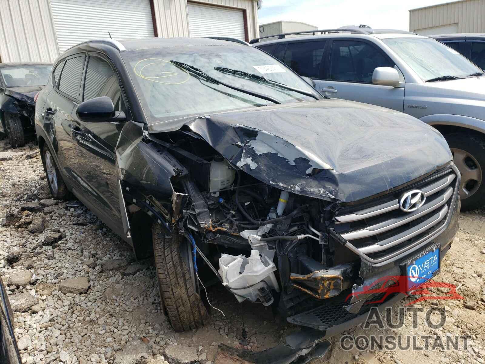 HYUNDAI TUCSON 2016 - KM8J33A42GU177453