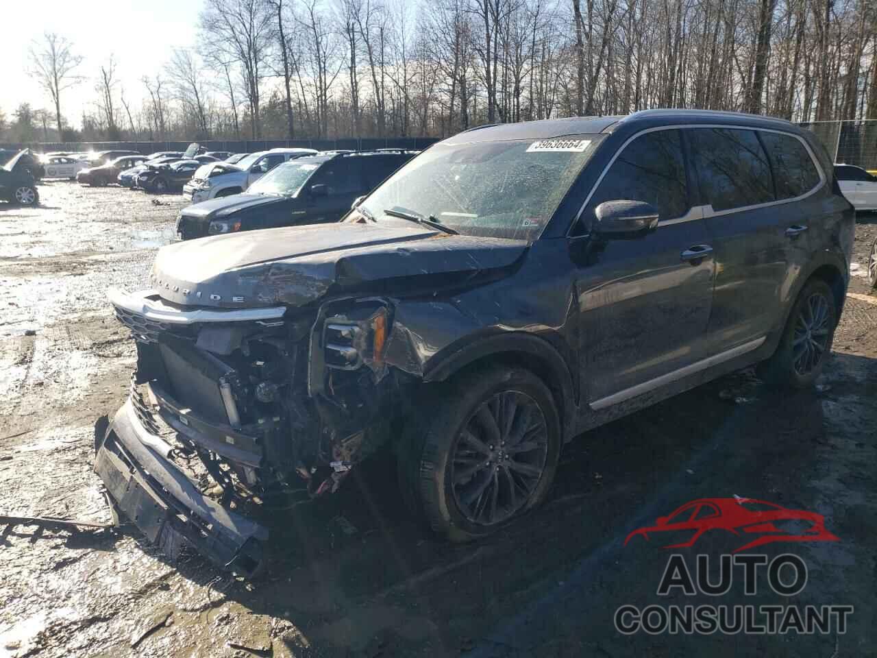 KIA TELLURIDE 2021 - 5XYP54HC6MG191140