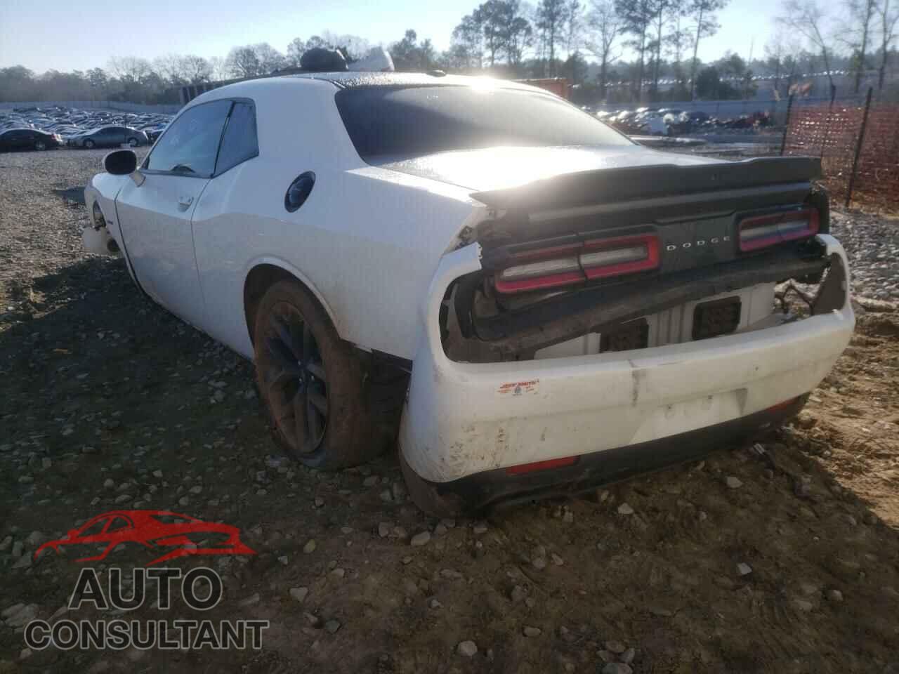 DODGE CHALLENGER 2019 - 2C3CDZBT1KH660502