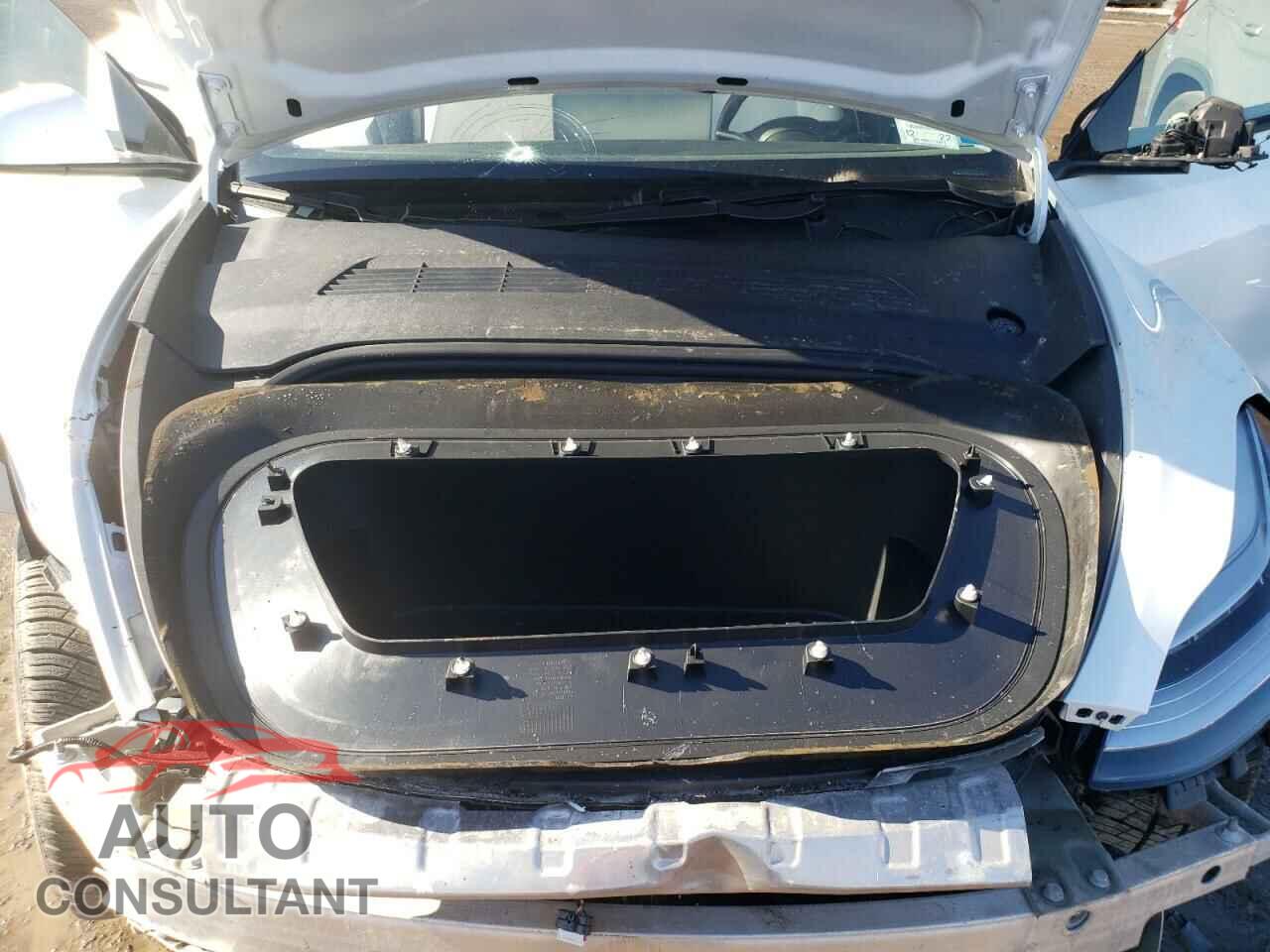 TESLA MODEL Y 2021 - 5YJYGDEEXMF076116