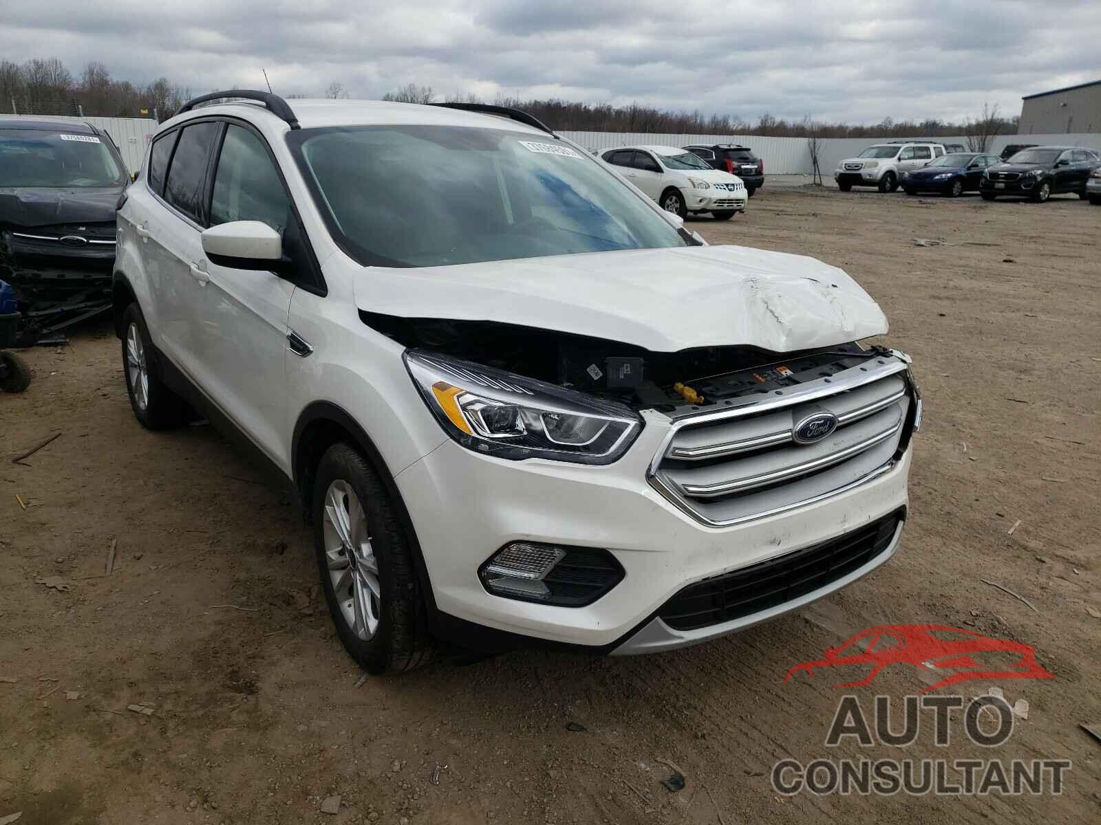 FORD ESCAPE 2019 - 1FMCU0HD0KUB99292