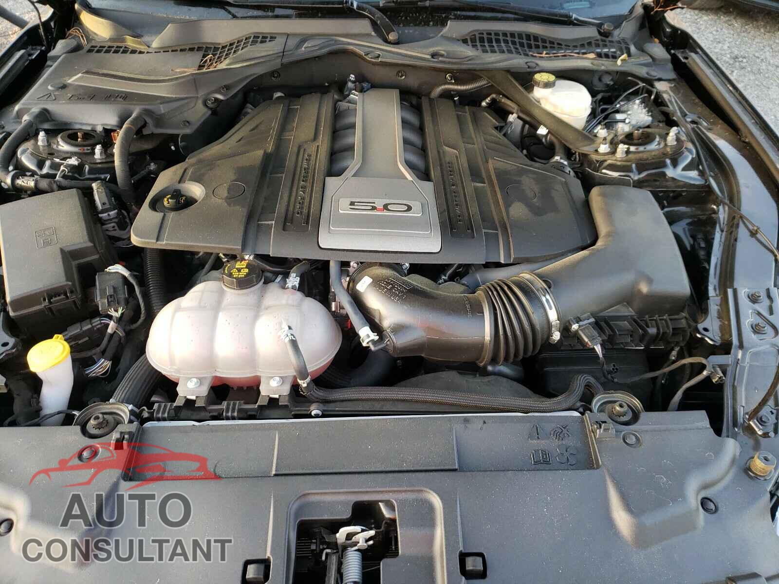 FORD MUSTANG 2019 - 1FA6P8CF9K5194088