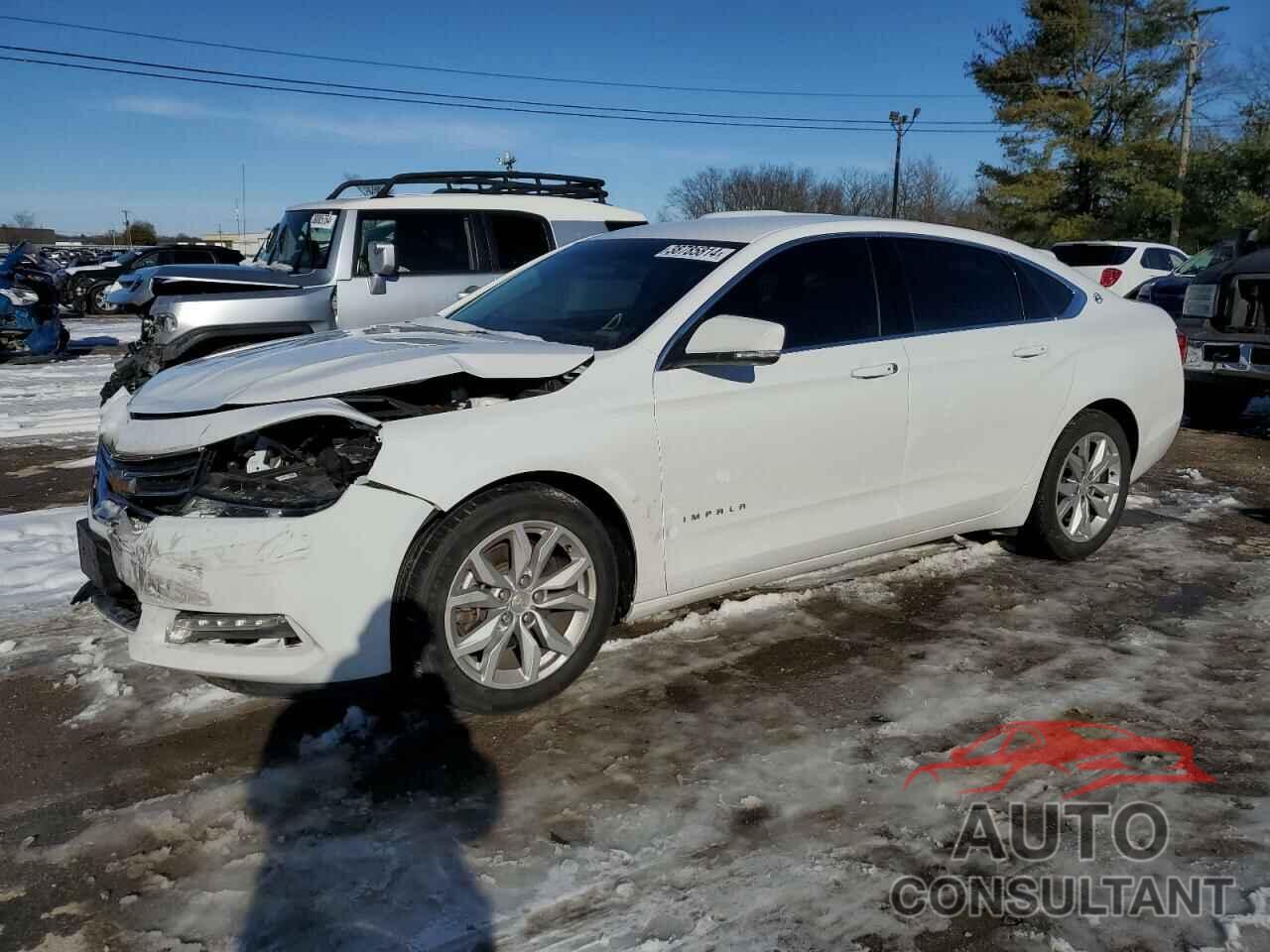 CHEVROLET IMPALA 2019 - 1G11Z5SA2KU116589