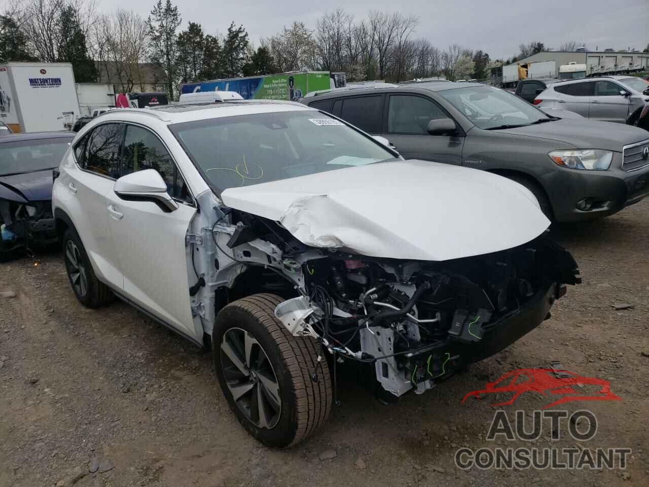 LEXUS NX 2019 - JTJBARBZ7K2215529