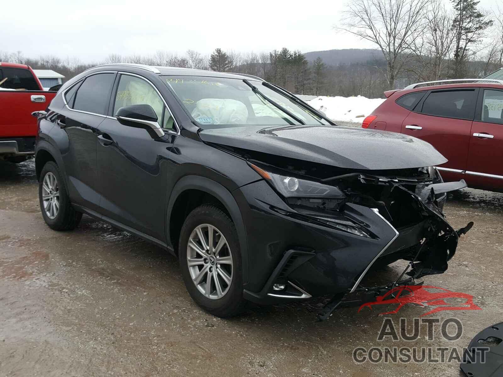 LEXUS NX 2019 - JTJBARBZ9K2195915