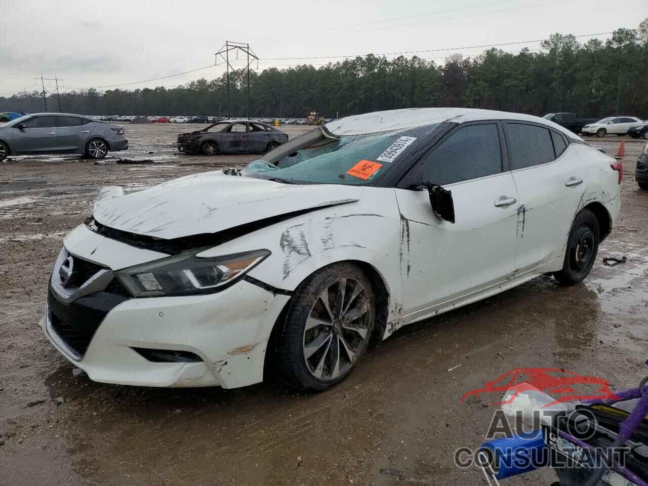 NISSAN MAXIMA 2016 - 1N4AA6APXGC415986