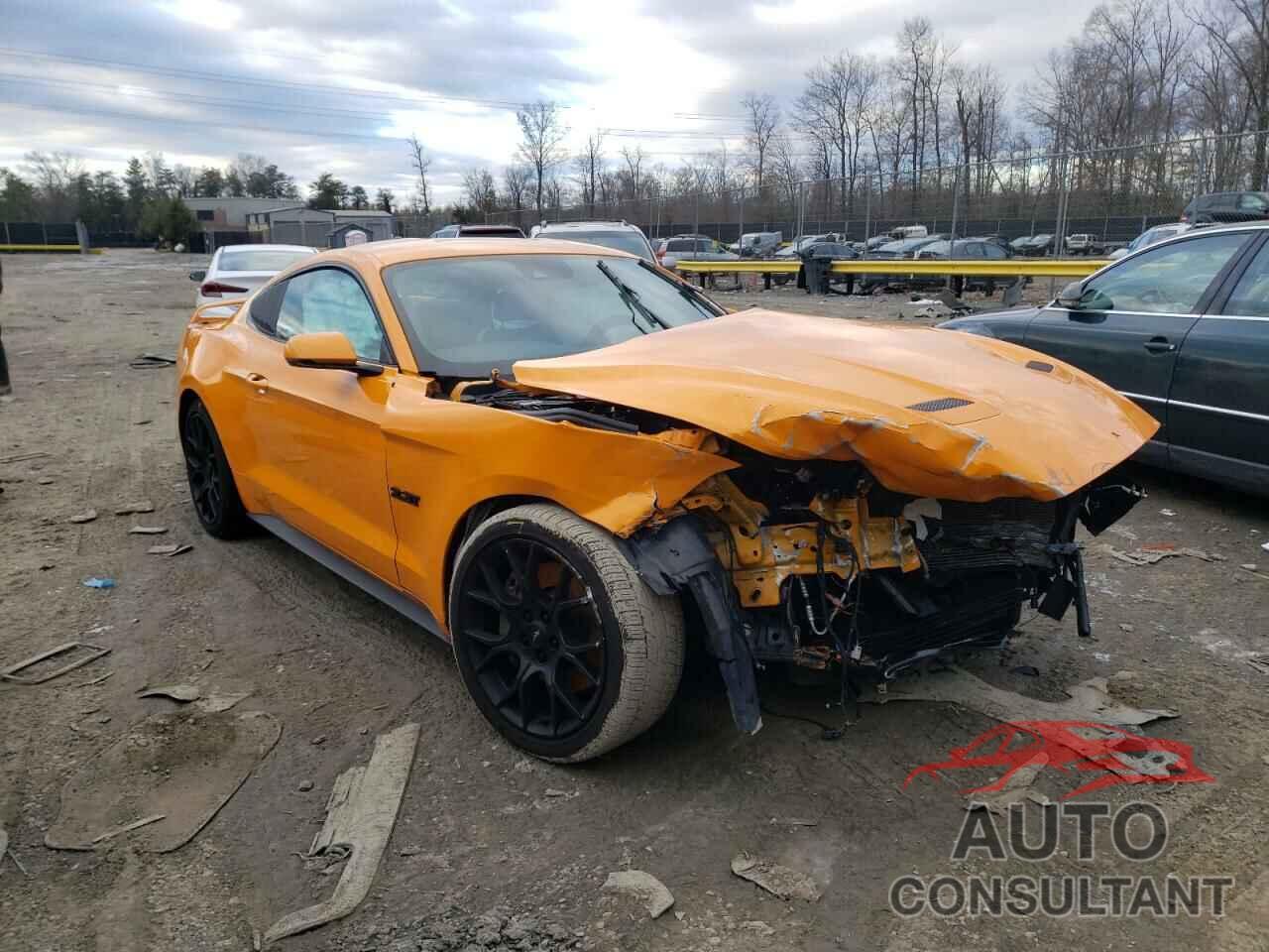 FORD MUSTANG 2019 - 1FA6P8TH8K5124714