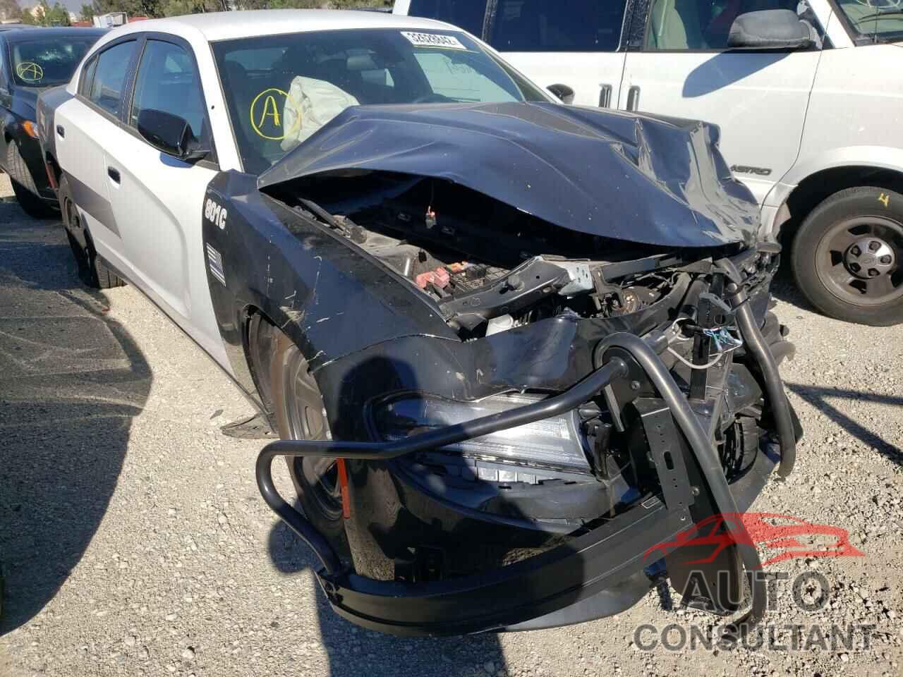 DODGE CHARGER 2019 - 2C3CDXAT4KH644784