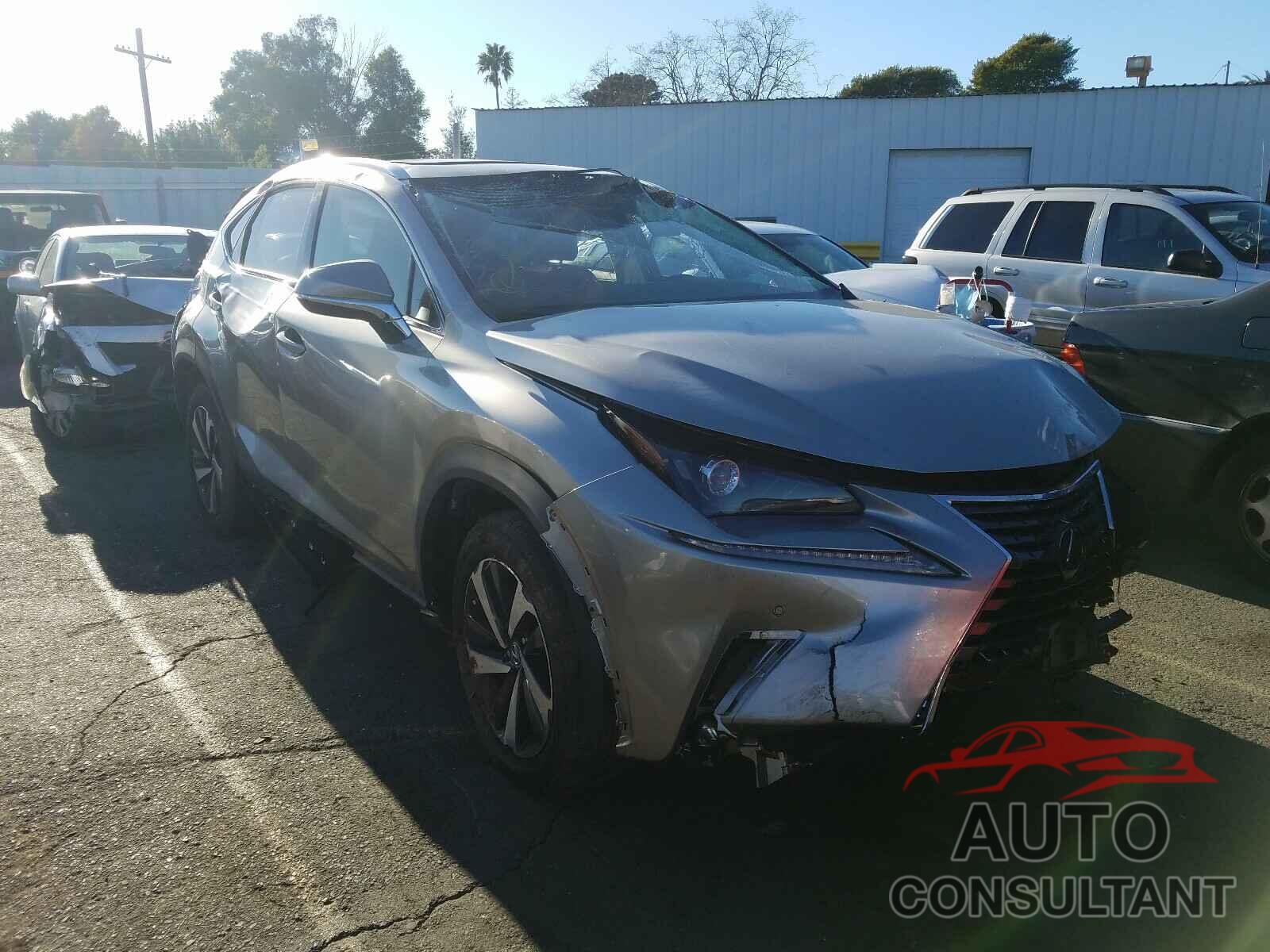 LEXUS NX 2020 - JTJGARBZ2L2166425