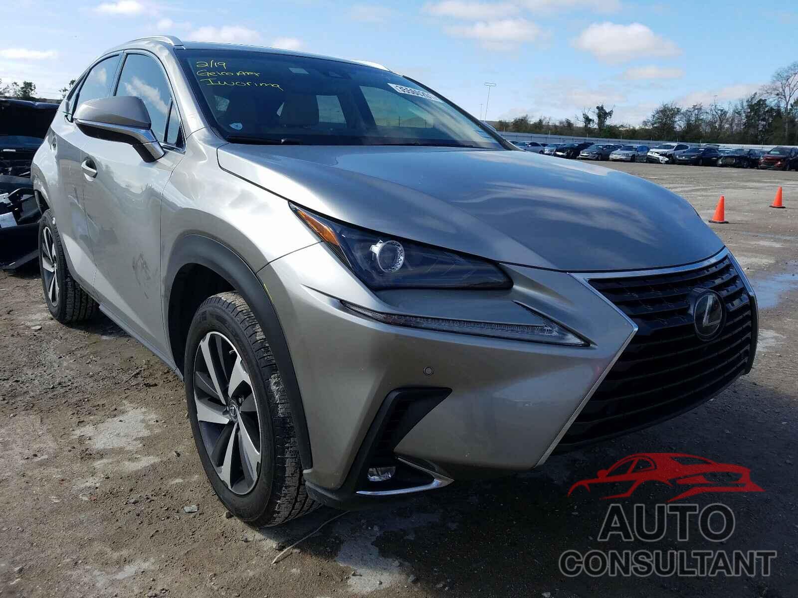 LEXUS NX 2019 - JTJYARBZ4K2129119