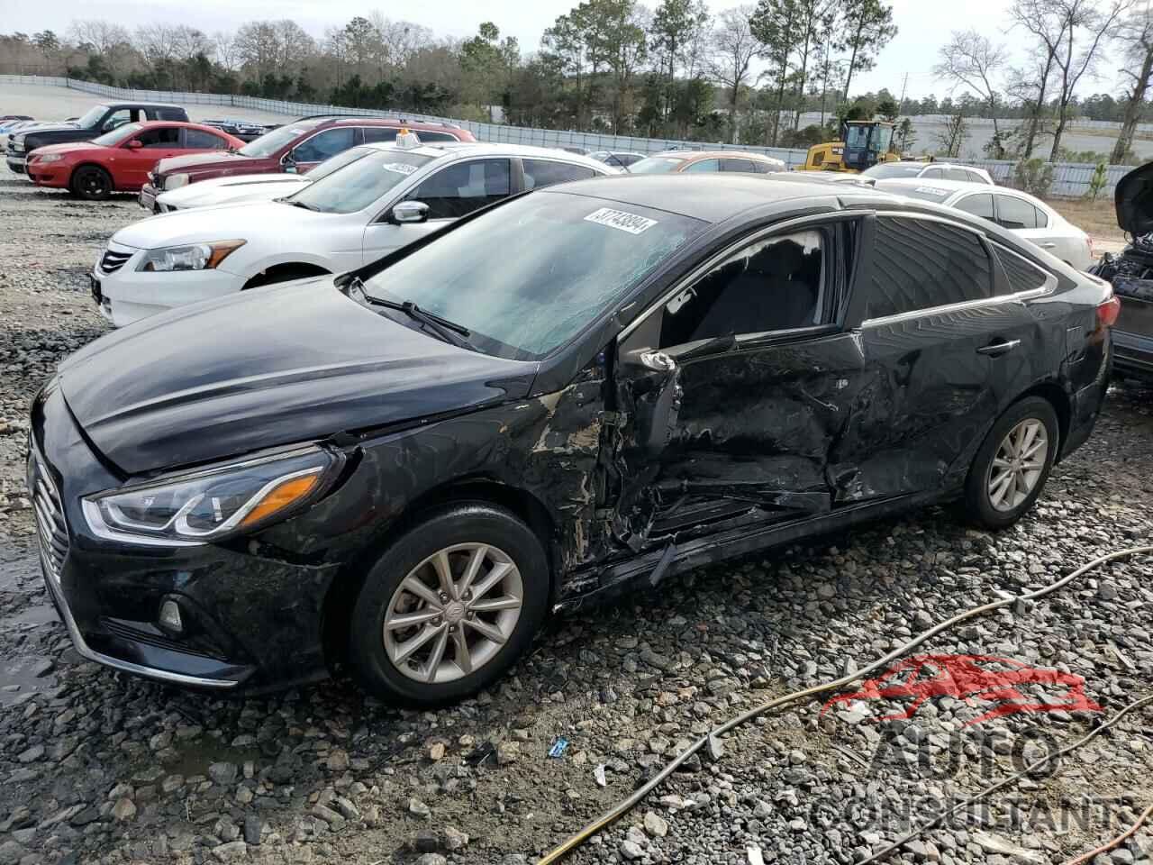 HYUNDAI SONATA 2019 - 5NPE24AF9KH775056