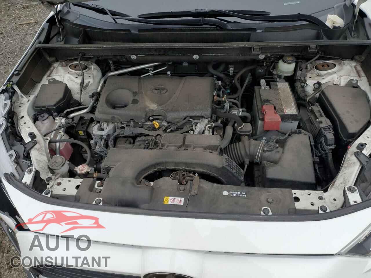 TOYOTA RAV4 2019 - JTMP1RFV7KD028103