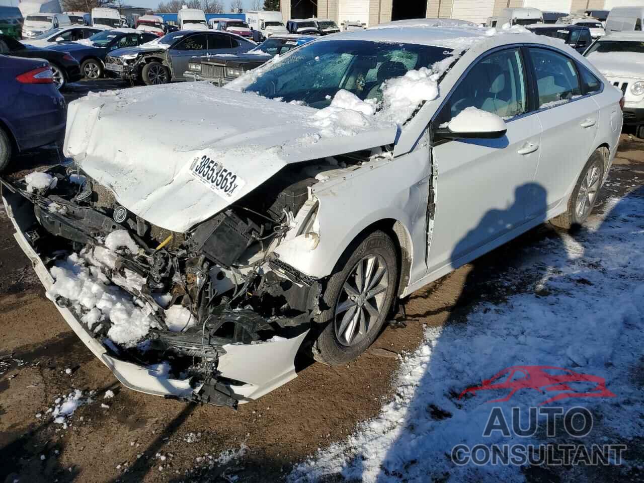 HYUNDAI SONATA 2019 - 5NPE24AF6KH746985
