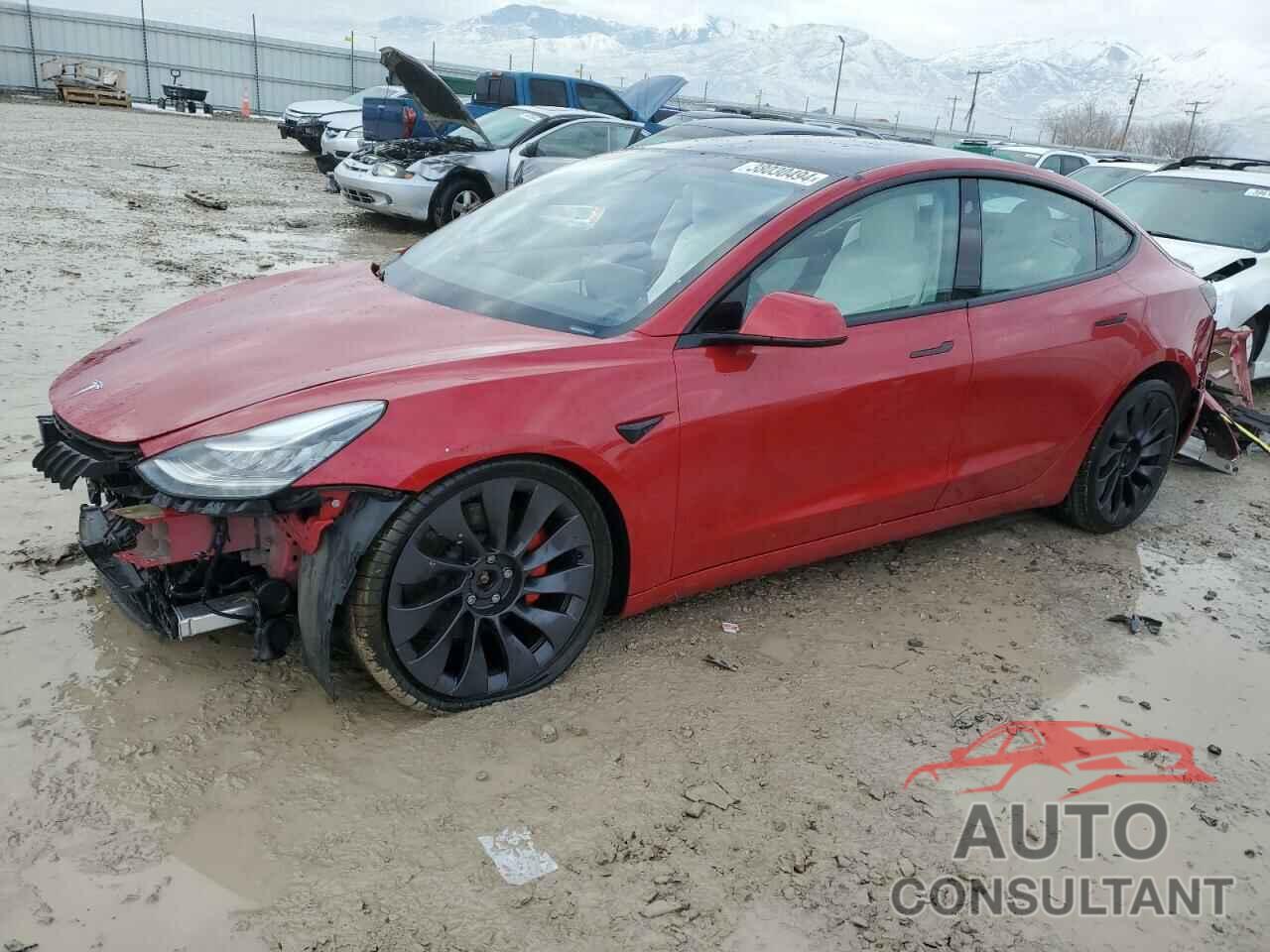 TESLA MODEL 3 2021 - 5YJ3E1EC5MF856408