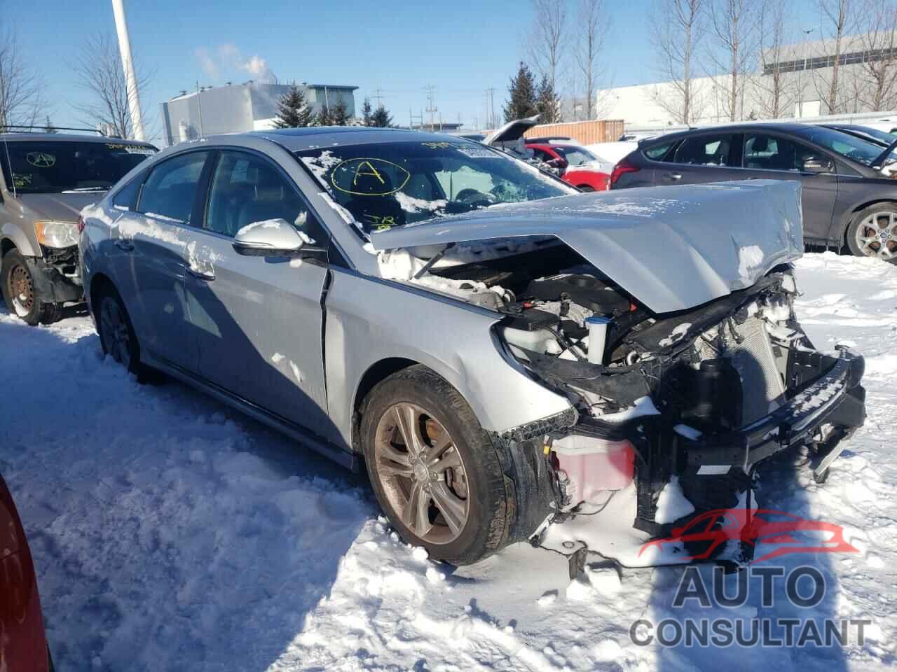 HYUNDAI SONATA 2019 - 5NPE34AF2KH775204
