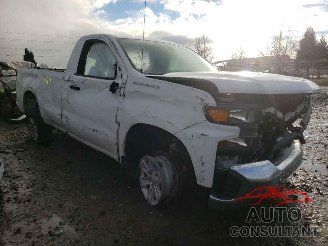CHEVROLET SILVERADO 2020 - 3GCNWAEF7LG304952