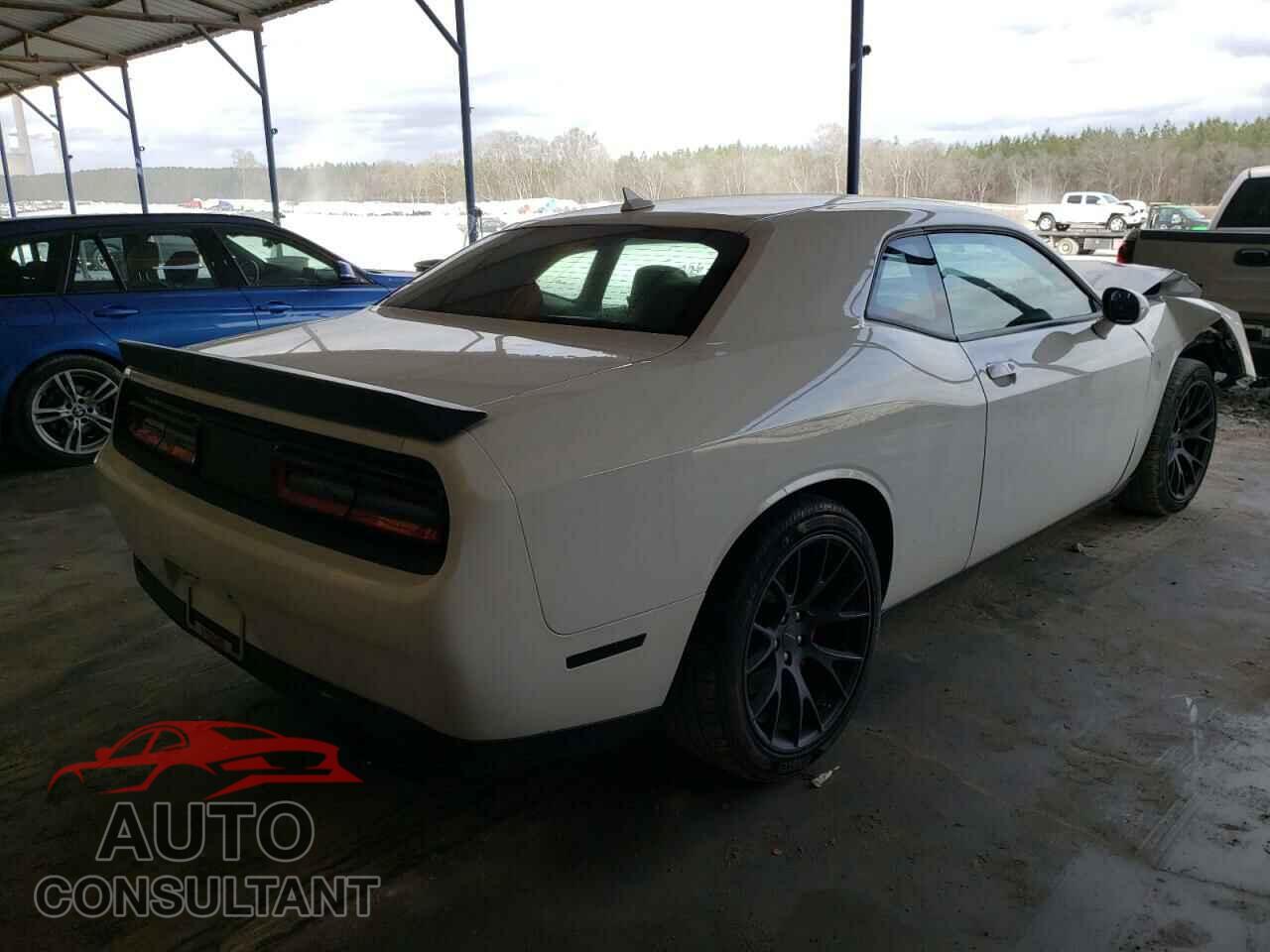 DODGE CHALLENGER 2019 - 2C3CDZC98KH529831